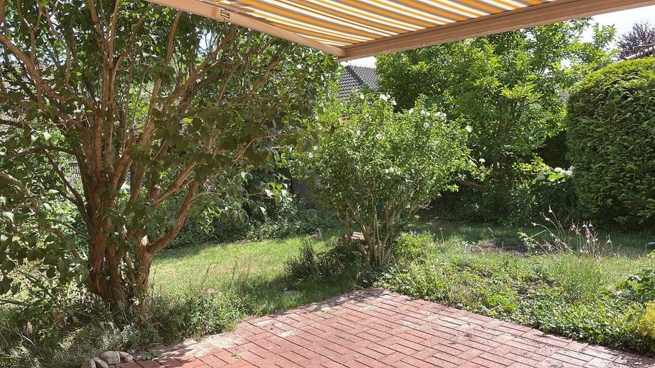 Blick in den Garten