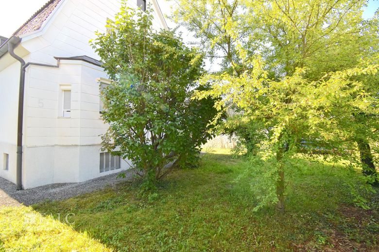 Großes Grundstück mit Handwerkerhaus – Außenansicht