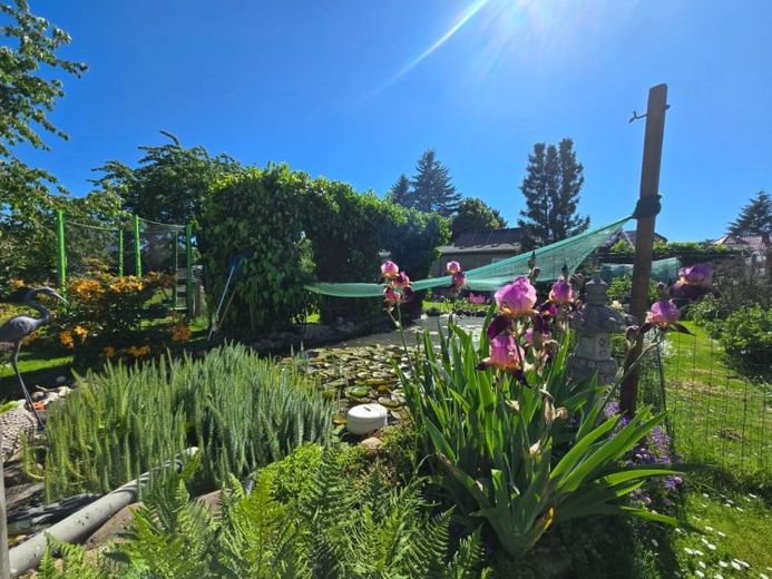 Oasis verdoyante pour toute la famille – maison individuelle bien entretenue avec piscine, étang et cuisine d’été – Photo 1