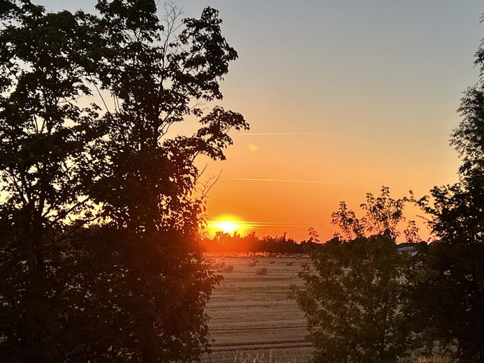 NEU! Ikonische, lichtdurchflutete Landhaus Villa mit Einliegerwohnung & mögl. Grundstkserweiterung – Original Sonnenuntergang