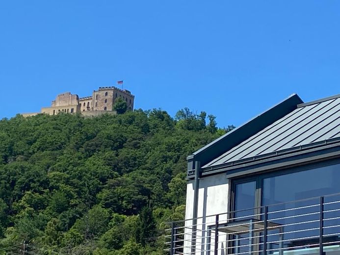 Architekten-Neubauvilla  in Weinbergsrandlage in Neustadt-Hambach – Foto 10
