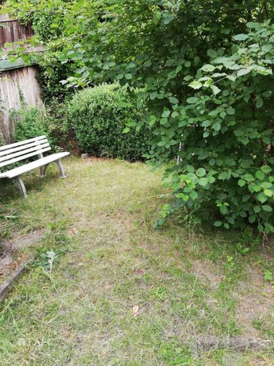 Romantischer Innenhof mit Fachwerkhaus im Zentrum von Göttingen - FALC Immobilien Göttingen – Garten