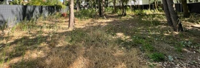 IMMOBERLIN.DE - Hervorragendes Baugrundstück in schöner Stadtrandlage
