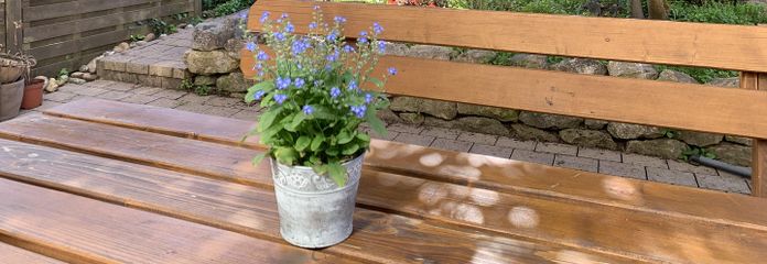 Terrasse + Garten