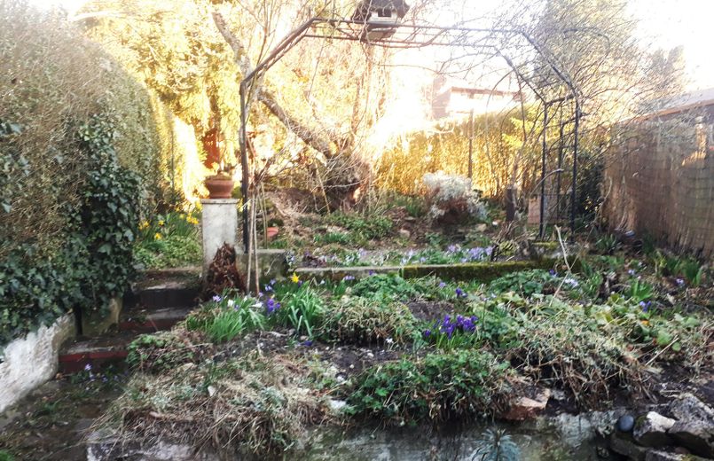 Blick in den Garten Februar