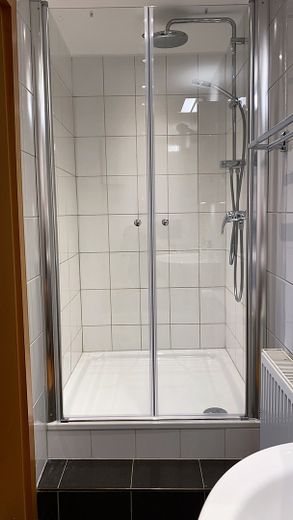 Wohnen und Arbeiten: Stilvolles Mehrfamilien- und Geschäftshaus mit großem Garten. – 1. OG Duschbad