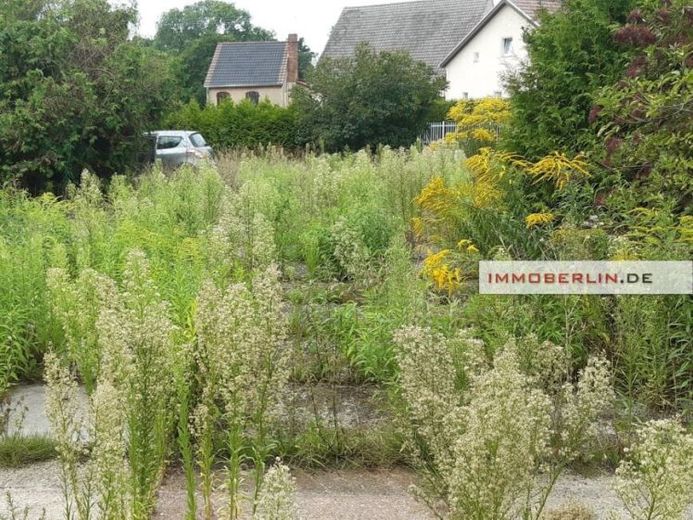 IMMOBERLIN.DE - Großartiges Baugrundstück beim Zernsdorfer Lankensee – Foto 1