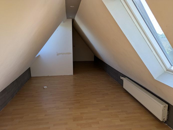 Zimmer DG