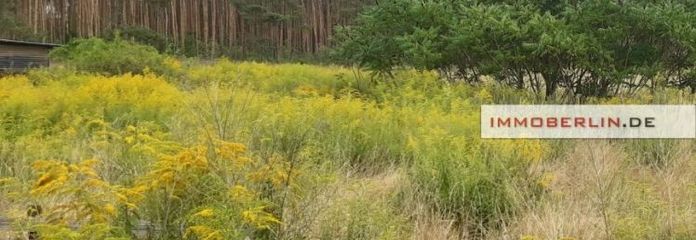 IMMOBERLIN.DE - Großartiges Baugrundstück beim Zernsdorfer Lankensee