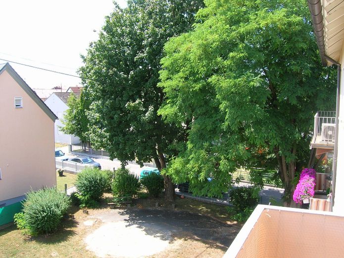 Gemeinschaftsgarten