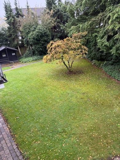 Oase der Ruhe in Witten Bommern: grosses Haus mit großem Grundstück zu vermieten – Garten Blick vom Wohnzimmer
