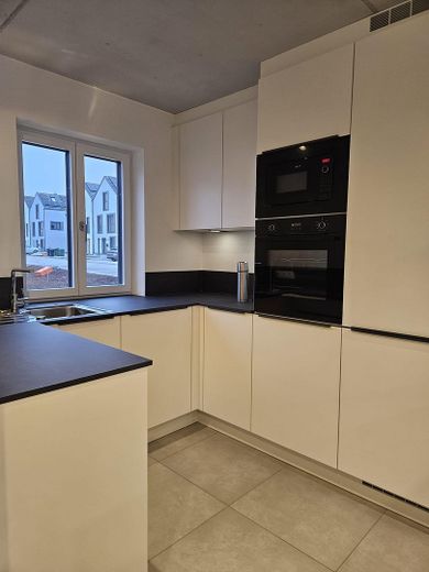Exklusives Neubau-Einfamilienhaus in Köfering – Bezugsfertig ab Oktober 2026 – Foto 6