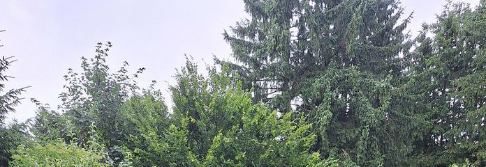 linken Teil gehört zum Reihenh
