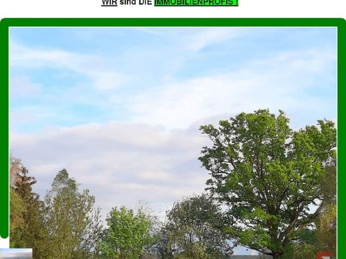 *** 10,675 ha Wald mit kleinem Ackeranteil- arrondiert *** – Foto 1