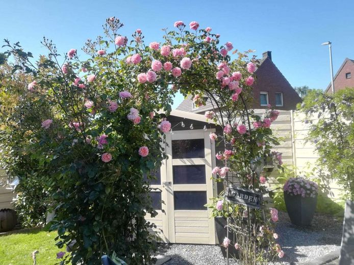 PROVISIONSFREI : Schönes Landhaus in naturnaher Umgebung – Garten