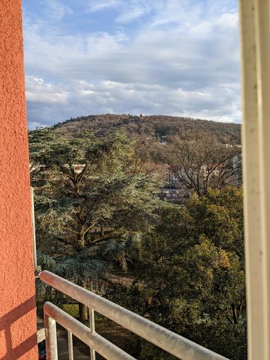 Ausblick 
