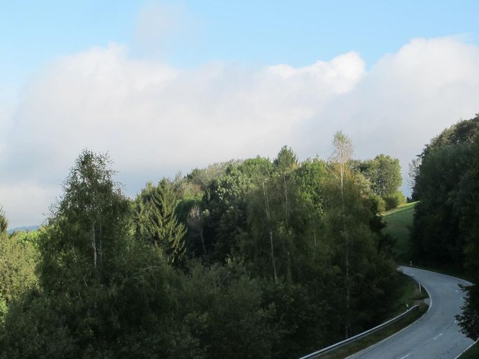 Sonniges Haus, 3 kpl. Wohnungen, Alleinlage, unverbaubarer Fernblick, Urlaubsregion Sonnenwald – Wald und Verbindungsstrasse