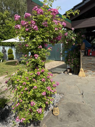 Casa rural con factor WOW: grandes naves, jardín de ensueño y cocina exterior de lujo – Foto 18