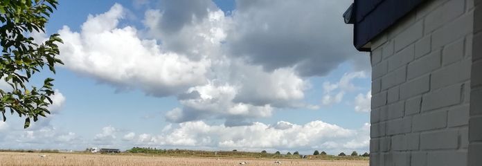 Blick aus der Küche