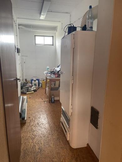 Anwesen mit Einfamilienhaus inkl. ELW & zweitem Wohnhaus, Garagen, Carport, Scheune & Werkstatt – Foto 31