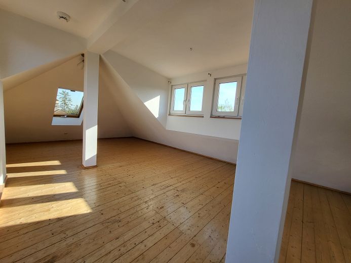 Ostviertel के प्रमुख स्थान पर! विशाल मेज़ानाइन छत-स्टूडियो, छत के टैरेस सहित, थिएटर के निकट, BG DG re – Studio