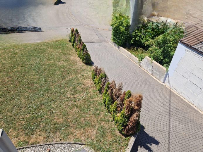 Terreno edificabile a Brackenheim | posizione top | vendita privata – Photo 4