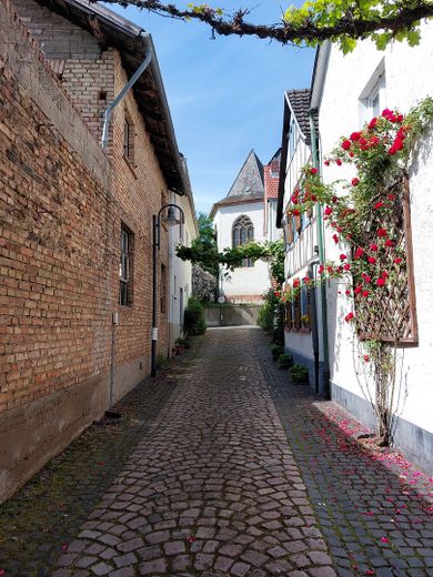 Ehemaliger Vierseitenhof mit Hufschmiede PROVISIONSFREI in Langenlonsheim zu verkaufen – Gasse mit Hufschmiede 