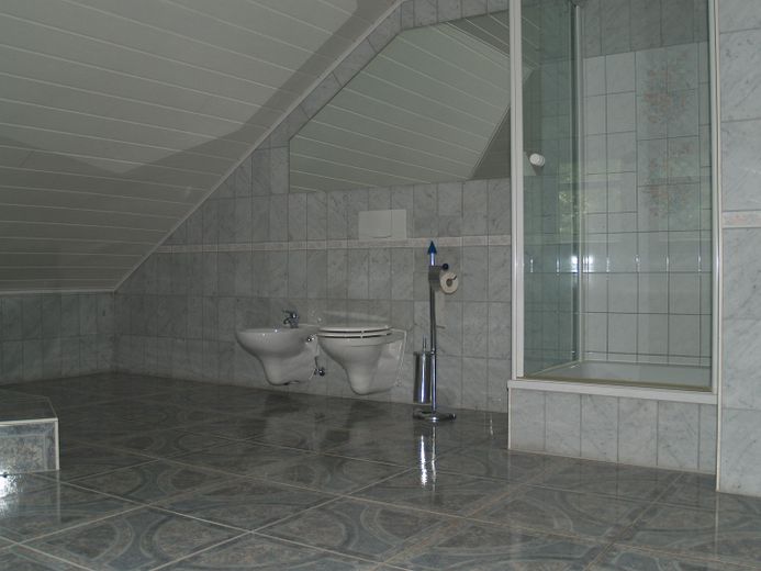 Exklusiv DG-Penthouse JAGDSCHLOSS 20km von L-Bhf 210m², 40m² Dachterrasse, Park, See, 2 Bäder – Bad, Marmor, Bidet, Glasduche