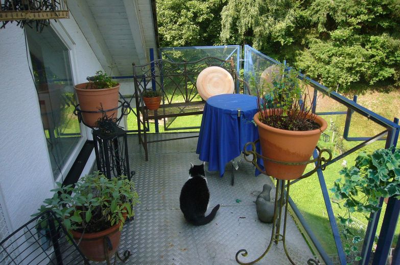 Casa di campagna rappresentativa con disposizione versatile degli ambienti fino a 3 unità – Foto 19