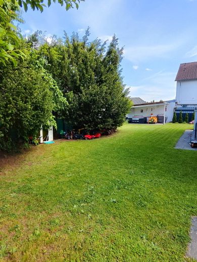 Hintergarten mit Pergola