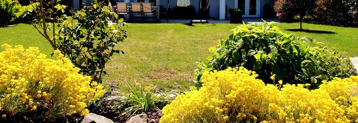 Modernes, zukunftssicheres Einfamilienhaus mit Einliegerwohnung, großem Grundstück  *Provisionsfrei* – Schöner Garten & Terrasse