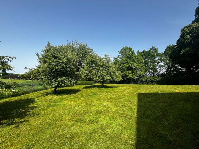 Resthof in Spenge mit der Option auf 1 ha Weide´für Pferdeliebhaber – Garten