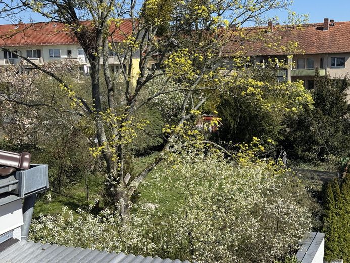Attraktive DG-Wohnung -  Citylage im Grünen an Kuppelkirche, hohe Lebensqualität; von privat – Blick nach Osten