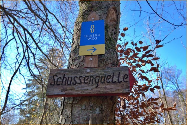 2-Familienhaus + gemütlicher Dachwohnung, vermietet, sehr gepflegt, großer Garten, Kapitalanlage. – Nur 10 Minuten zu Fuß!