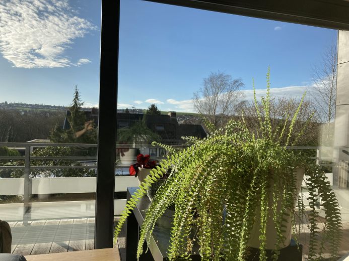 Fernblick vom Wohnzimmer aus