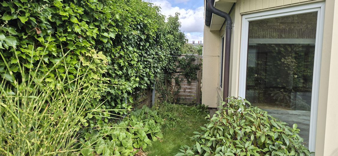 120 m² का गर्म विंटरगार्डन, टैरेस और बगीचे सहित – Schleswig में असाधारण अपार्टमेंट – Garten