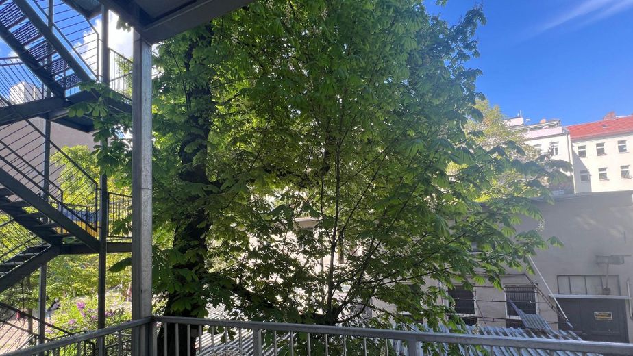 Helle möblierte 1-Zimmer-Wohnung mit Balkon im Herzen von Friedrichshain – Blick vom Balkon