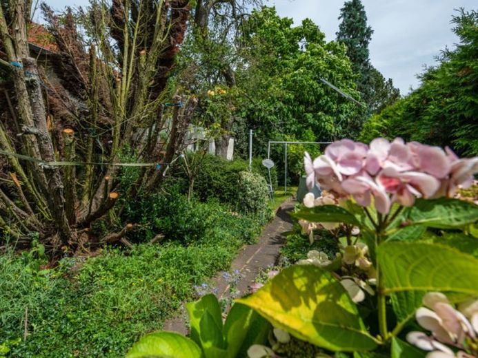Projektgrundstück mit Potential für Mehrfamilienhausbebauung - vielfältige Entwicklungsmöglichkeit in Dreieich-Offenthal – फोटो 1