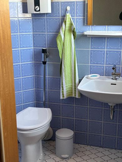Haus im Grünen mit unverbaubarem Blick über den Frankenwald in ruhiger Lage – Gäste WC EG