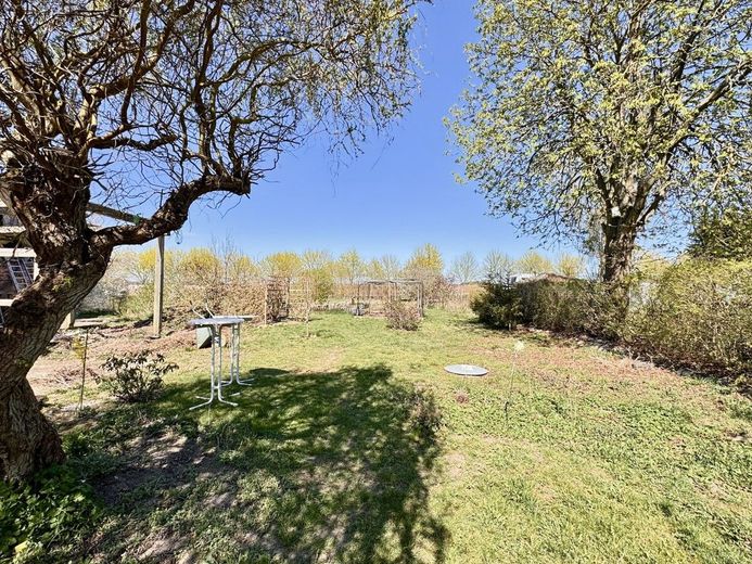 HORN IMMOBILIEN ++ Einfamilienhaus mit großem Grundstück in Ramin an der polnischen Grenze. – Garten