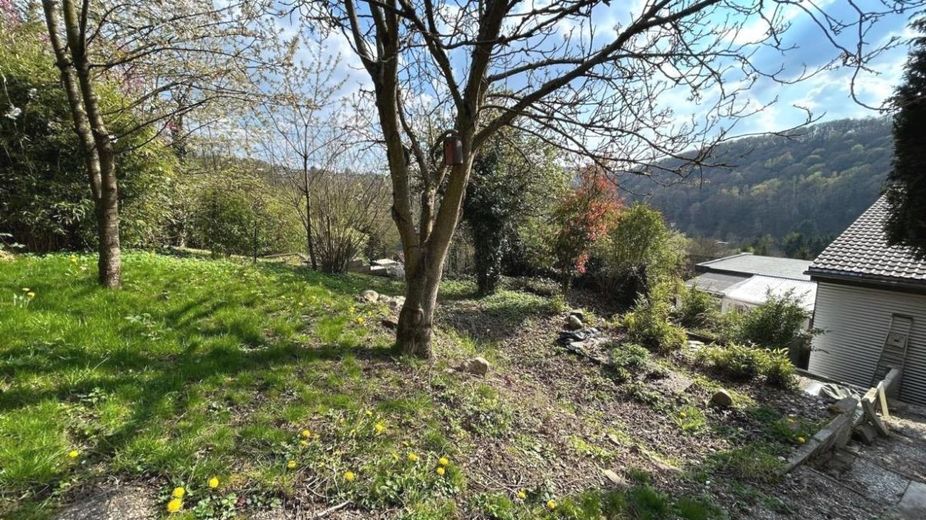 Wohnen mit Ausblick - Einfamilienhaus mit Einliegerwohnung und besonderem Charakter – Garten mit Ausblick