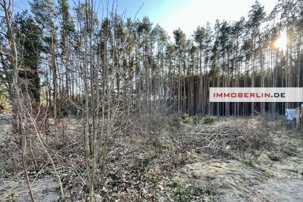 IMMOBERLIN.DE - Idyllisches Baugrundstück am Waldrand in naturschöner Region