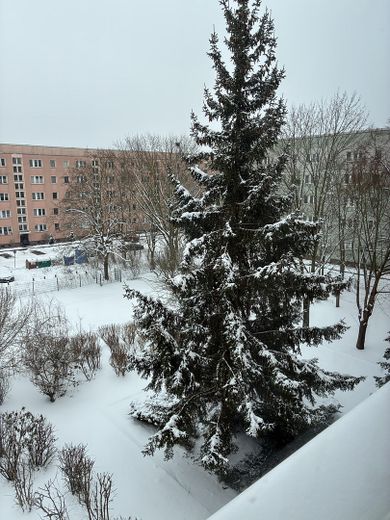 Blick in den winterlichen Hof