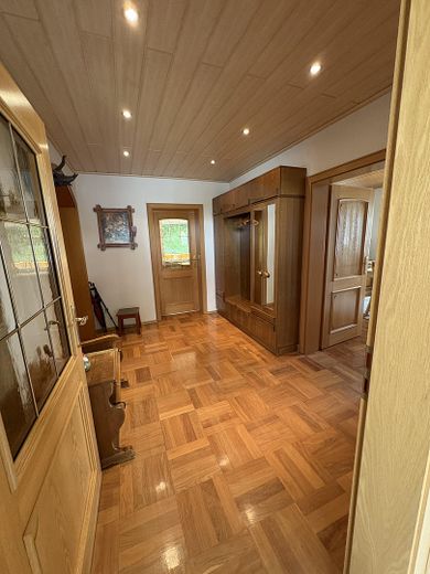 Eingangsbereich/Flur EG