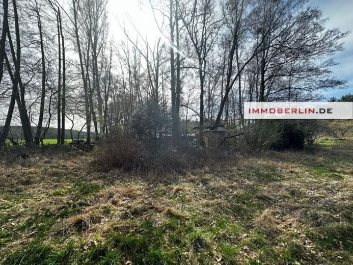 IMMOBERLIN.DE - Großes Wiesen-/Freizeitgrundstück mit Umwidmungspotential für Bauland – Foto 1