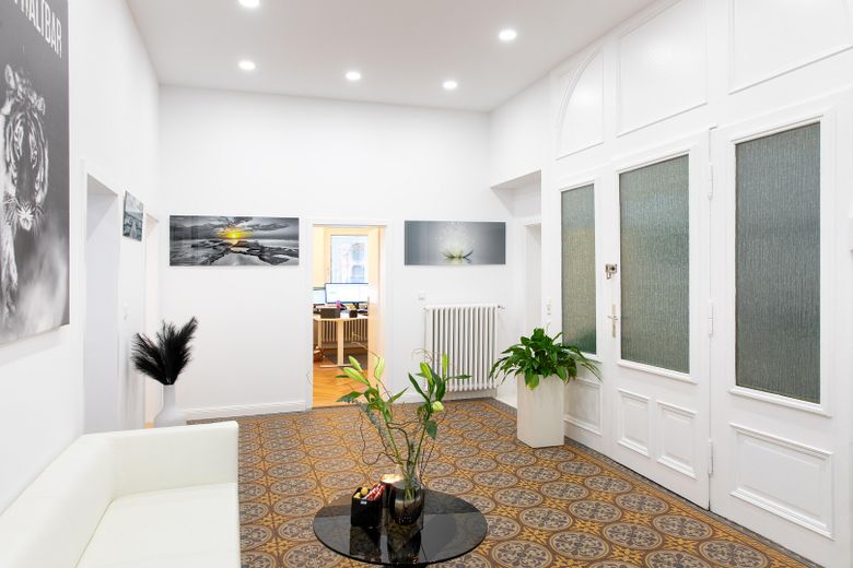 Repräsentative Büro-/Kanzleifläche im denkmalgeschützten Jugendstilhaus – 172 m² – Empfang