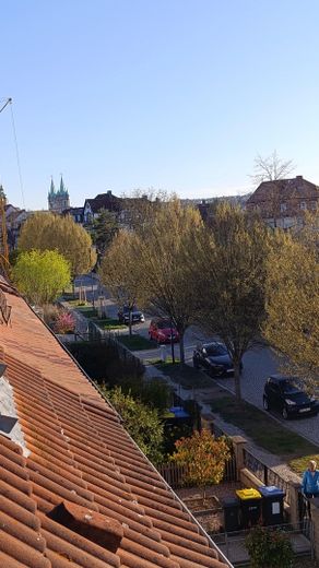 Blick zum Dom