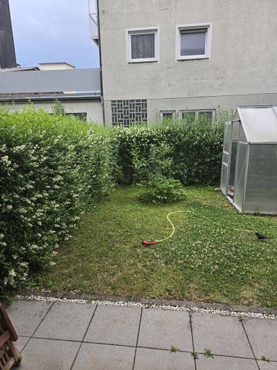 Blick in den Garten1