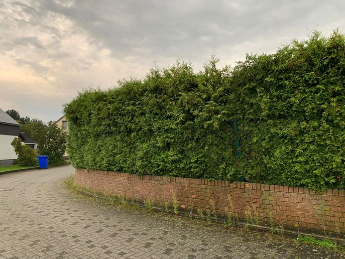 Reihenendhaus in Büren zu verkaufen! Provisionfrei! – Foto 8