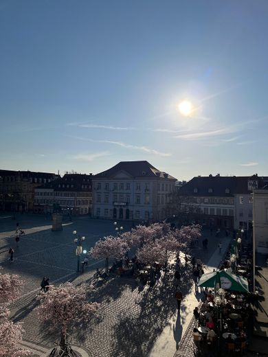 Maisonette in Bestlage am Rathausplatz – Foto 3